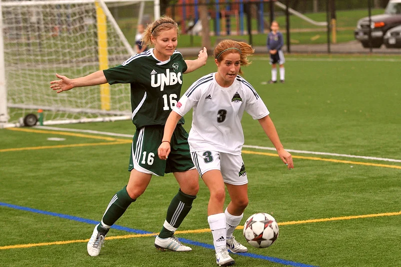 未来规划
